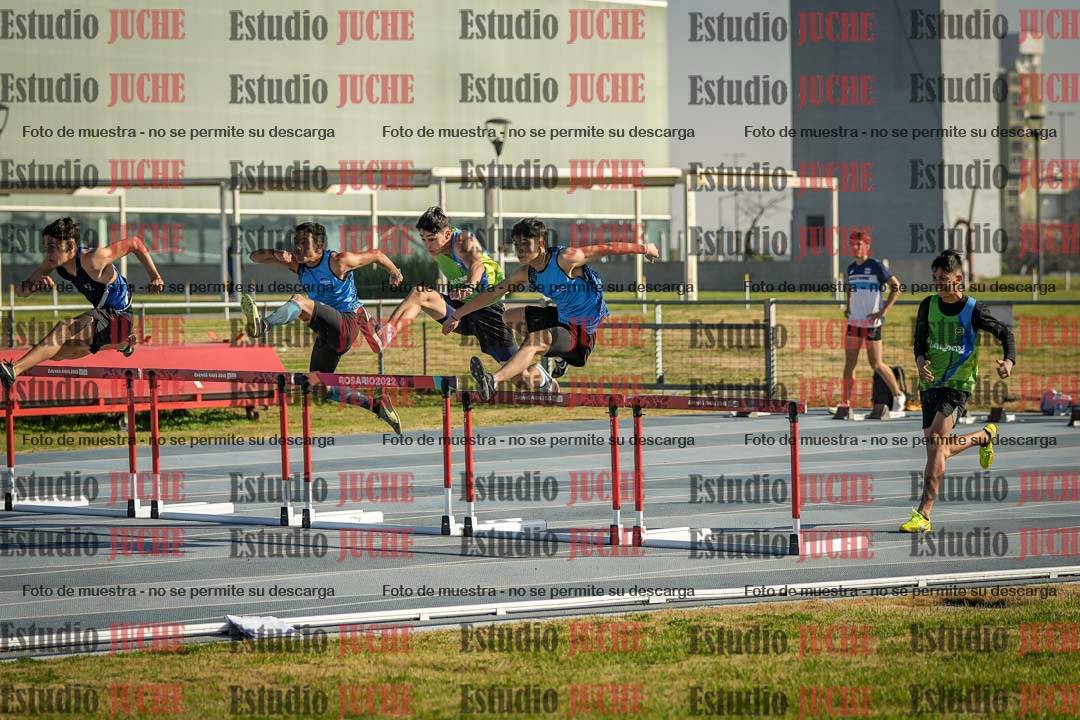 Fotos de los 110 m con vallas de varones