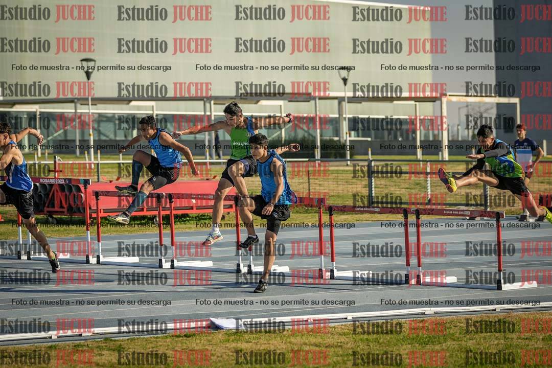 Fotos de los 110 m con vallas de varones