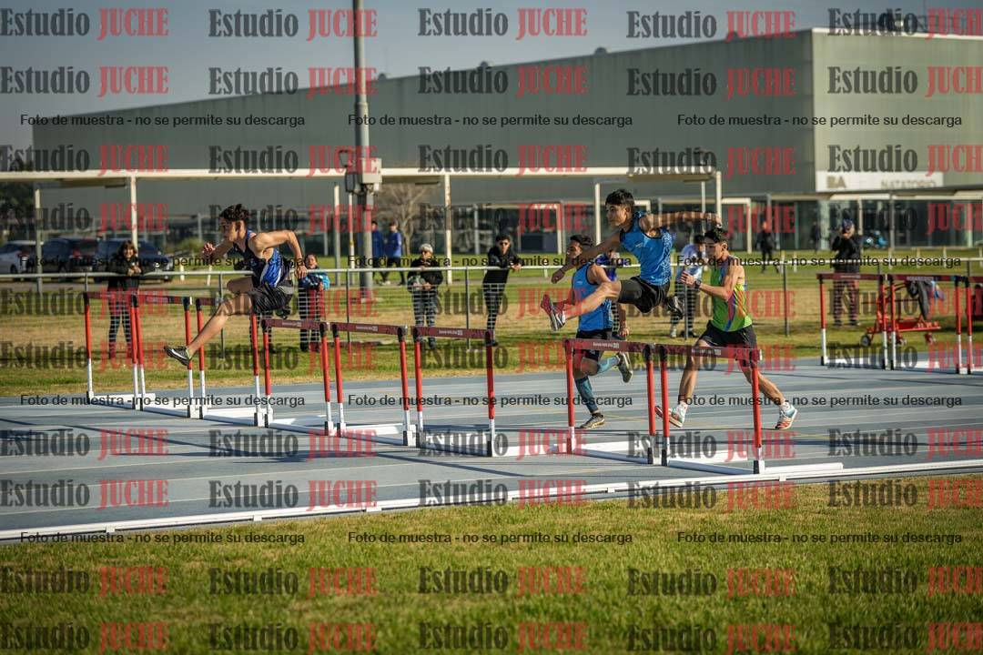 Fotos de los 110 m con vallas de varones