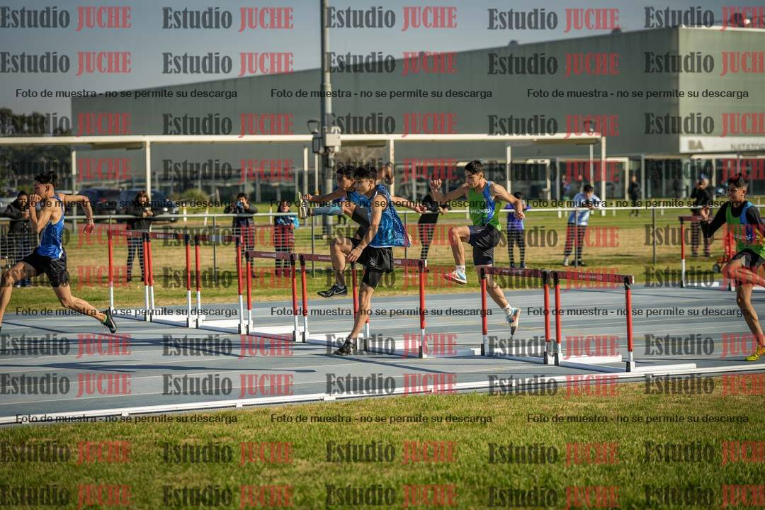 Fotos de los 110 m con vallas de varones