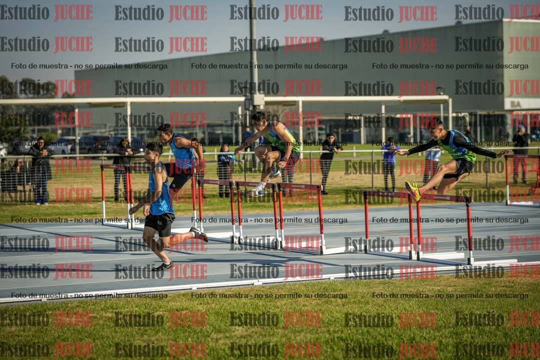 Fotos de los 110 m con vallas de varones