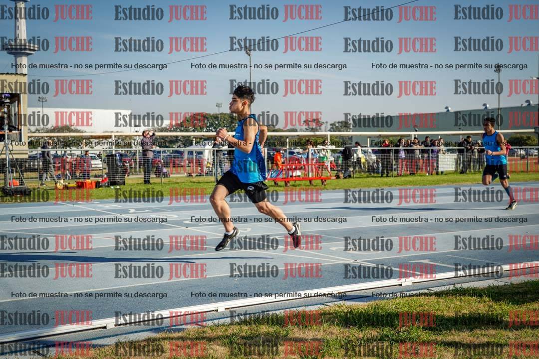 Fotos de los 110 m con vallas de varones