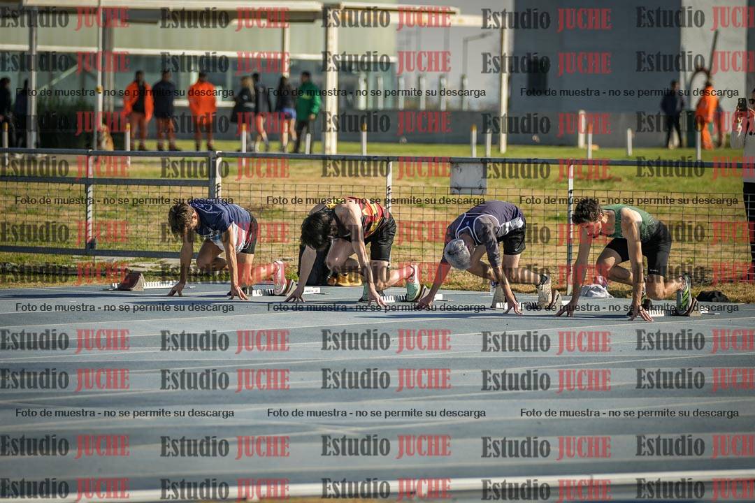 Fotos de los 110 m con vallas de varones