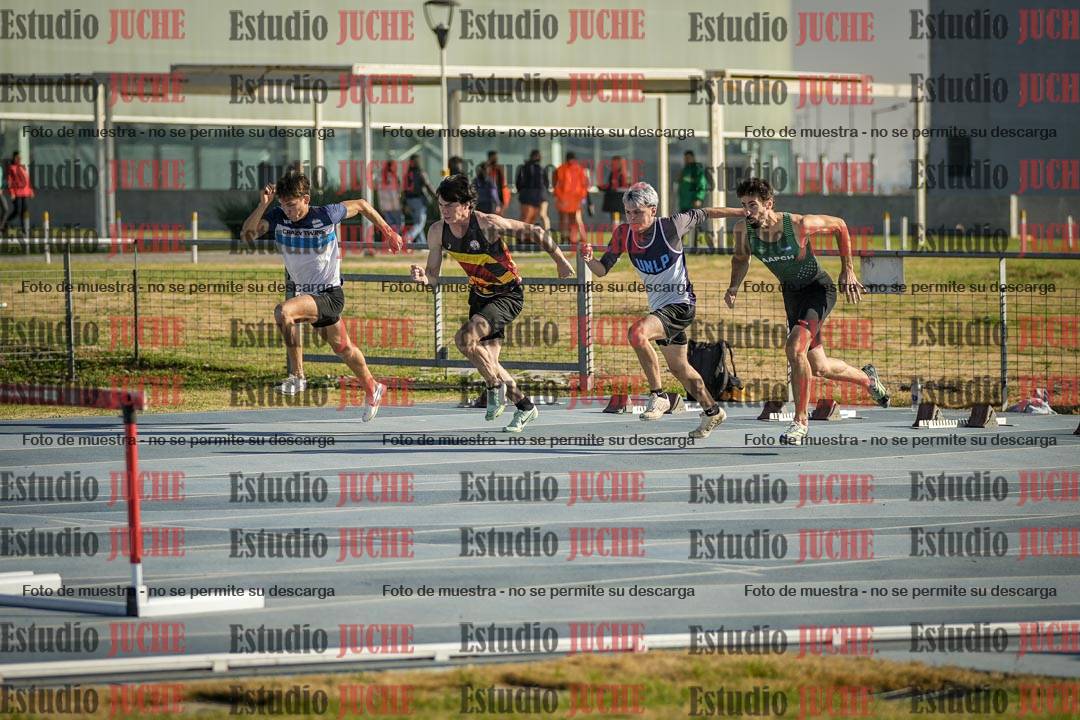 Fotos de los 110 m con vallas de varones