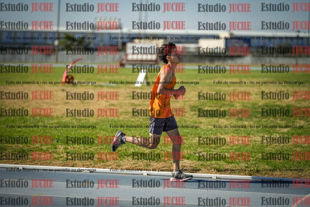 Fotos de los 1000 m llanos de varones