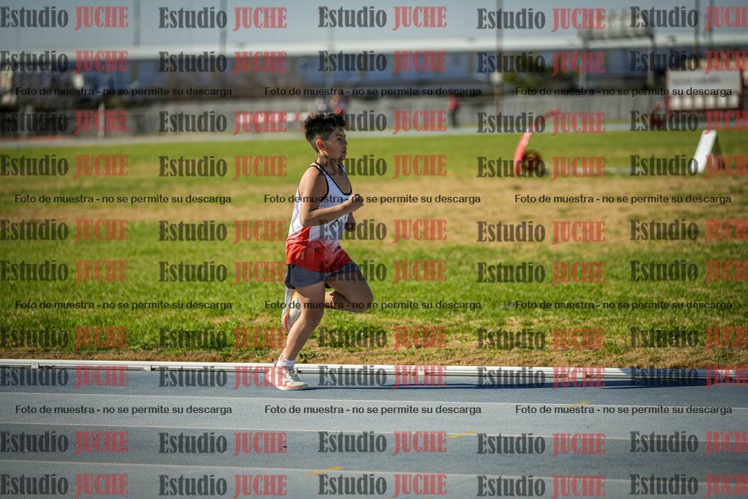 Fotos de los 1000 m llanos de varones