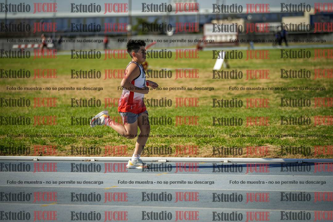 Fotos de los 1000 m llanos de varones