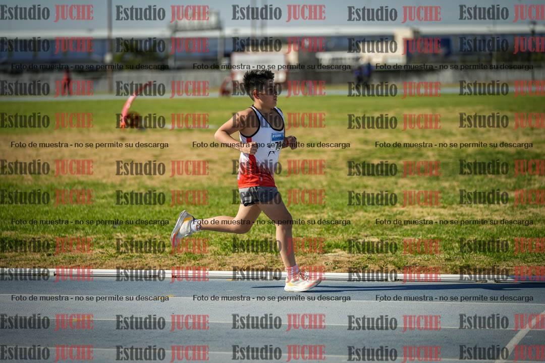 Fotos de los 1000 m llanos de varones