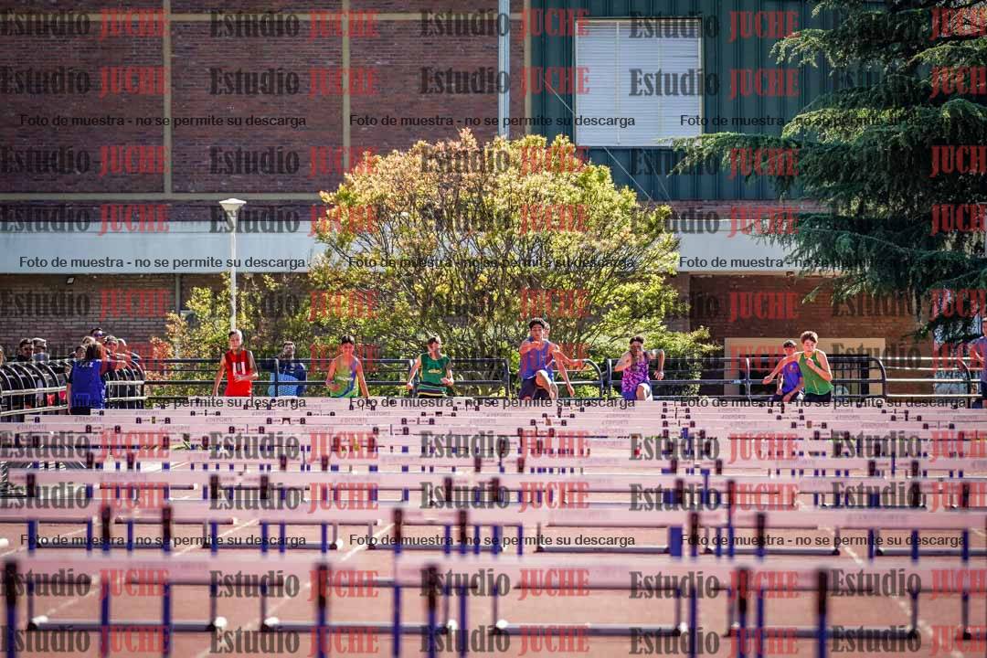 Fotos de los 110 m con vallas de varones