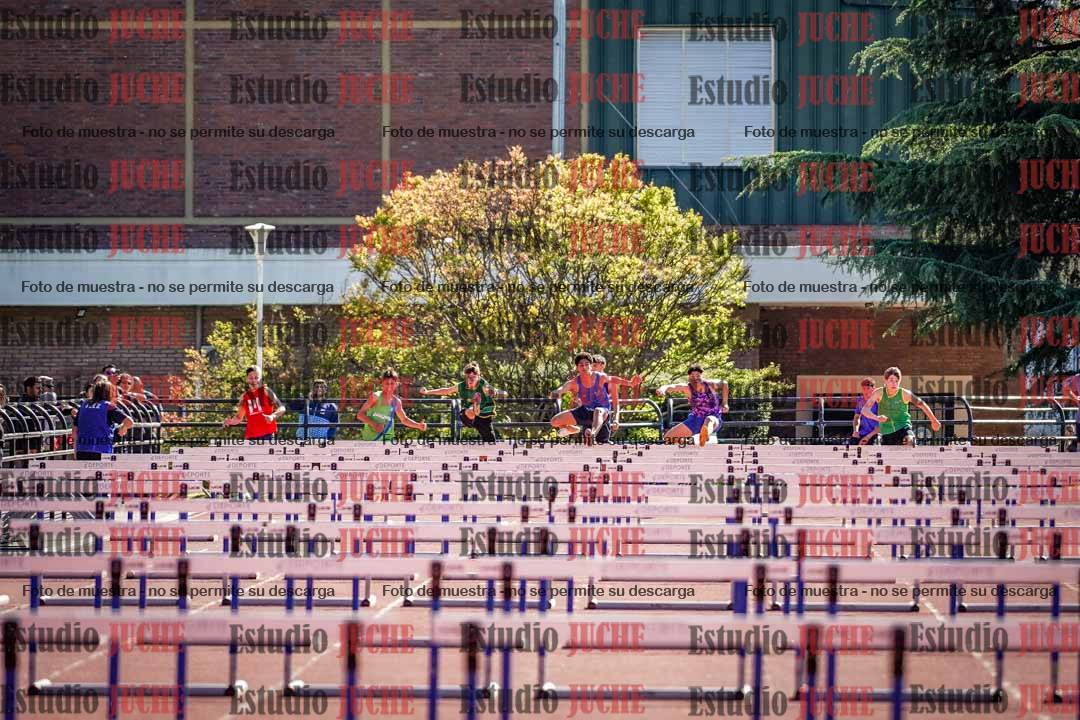 Fotos de los 110 m con vallas de varones