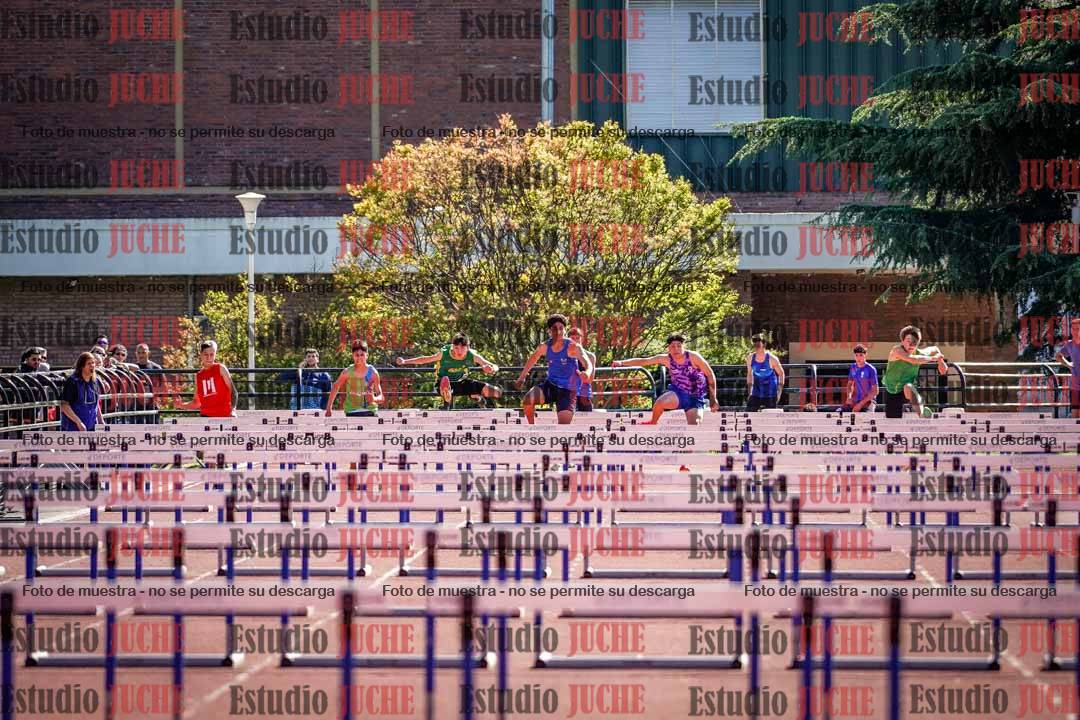 Fotos de los 110 m con vallas de varones