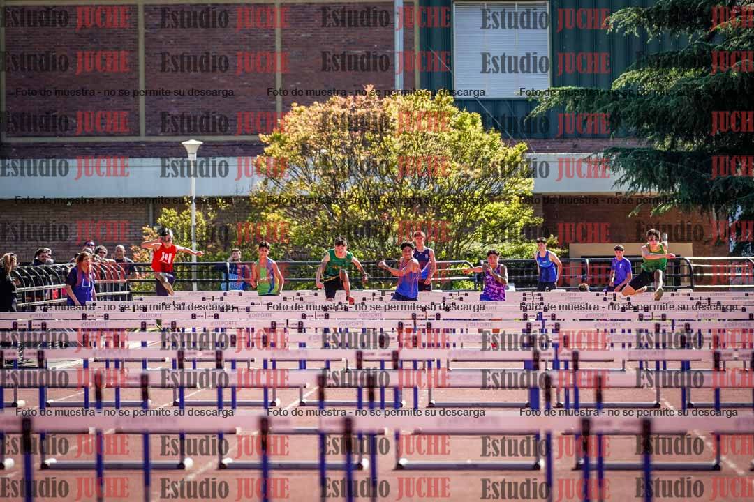 Fotos de los 110 m con vallas de varones