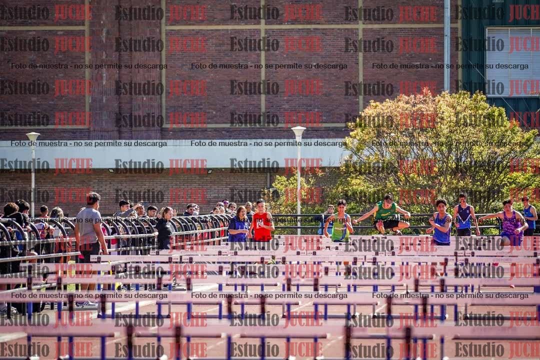 Fotos de los 110 m con vallas de varones