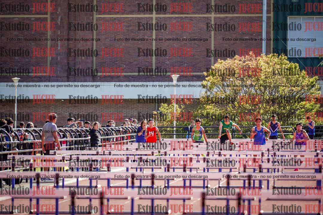 Fotos de los 110 m con vallas de varones