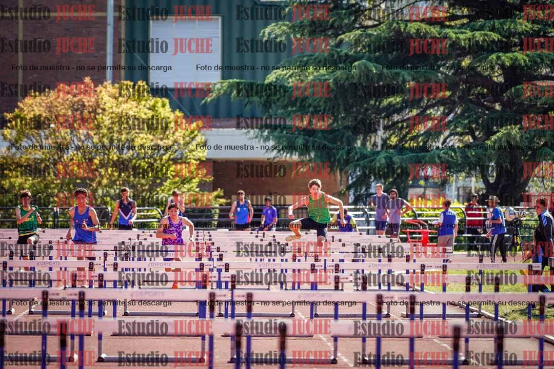 Fotos de los 110 m con vallas de varones