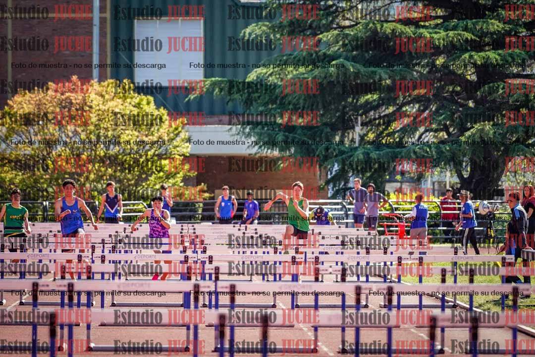 Fotos de los 110 m con vallas de varones