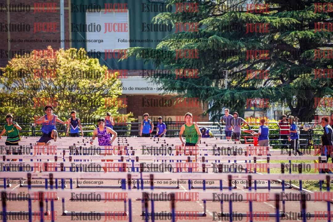 Fotos de los 110 m con vallas de varones