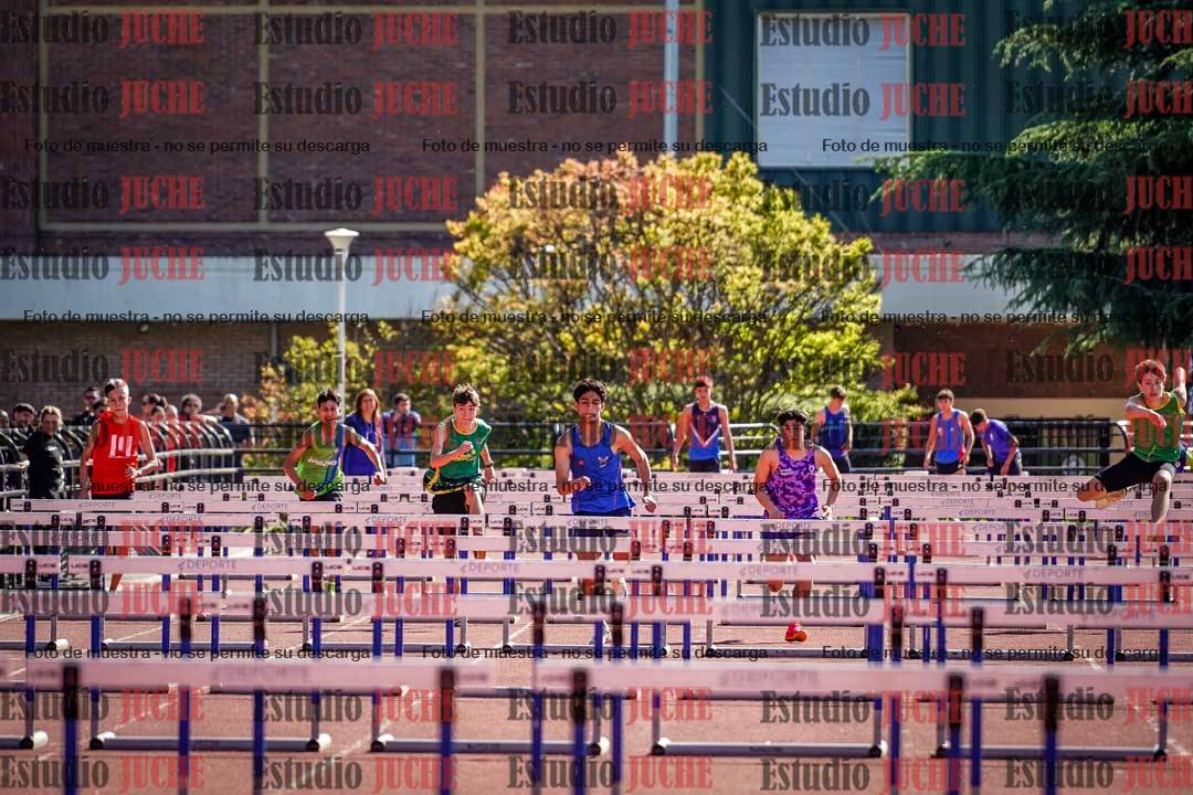 Fotos de los 110 m con vallas de varones
