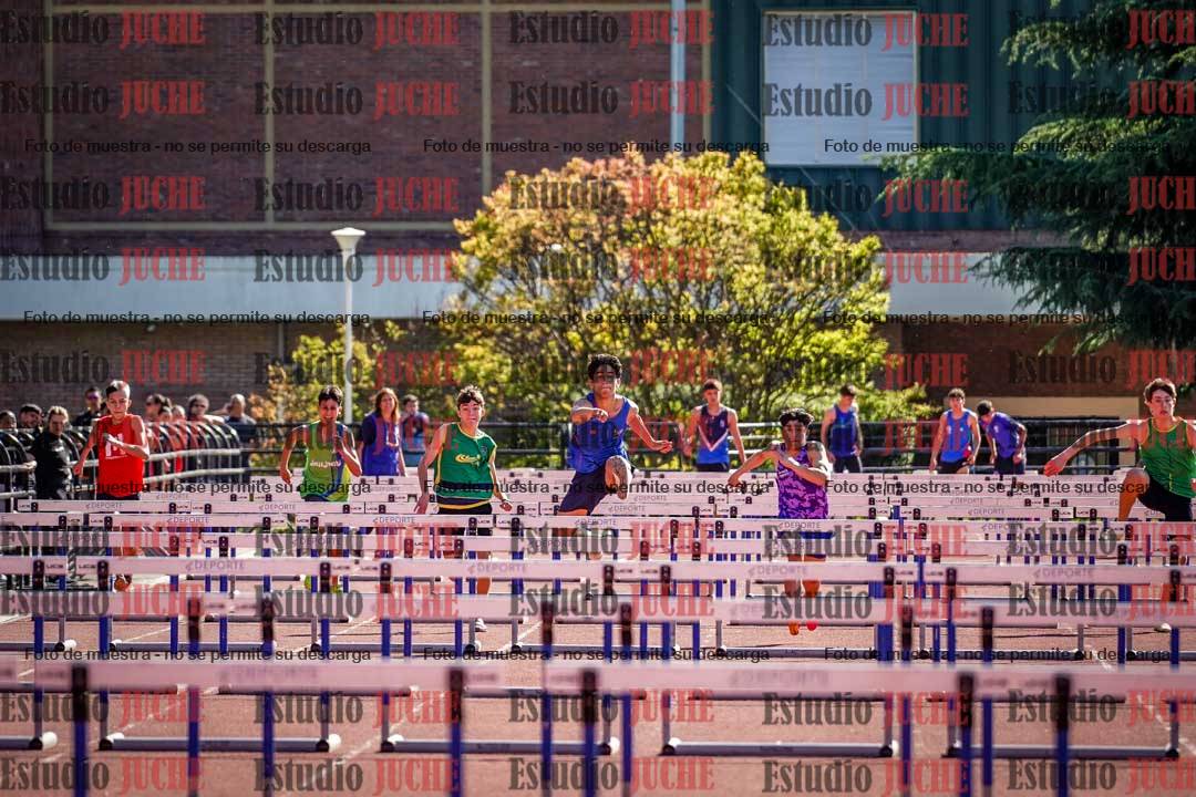 Fotos de los 110 m con vallas de varones
