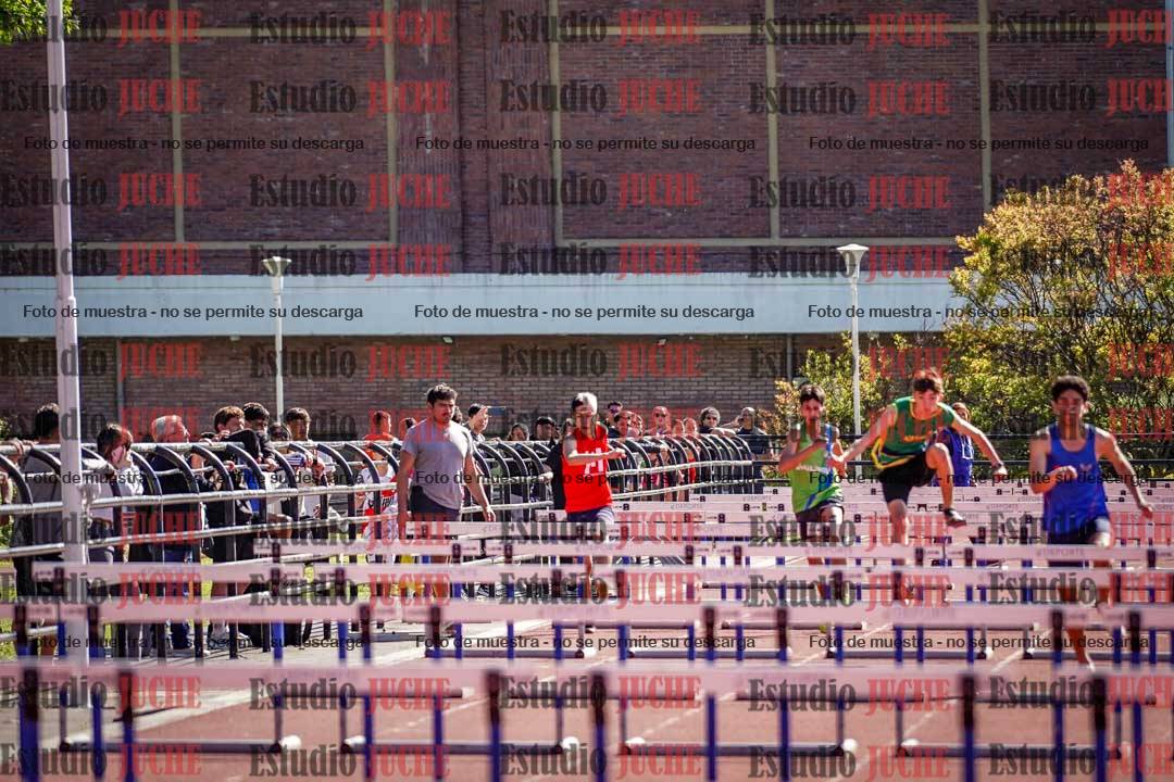 Fotos de los 110 m con vallas de varones
