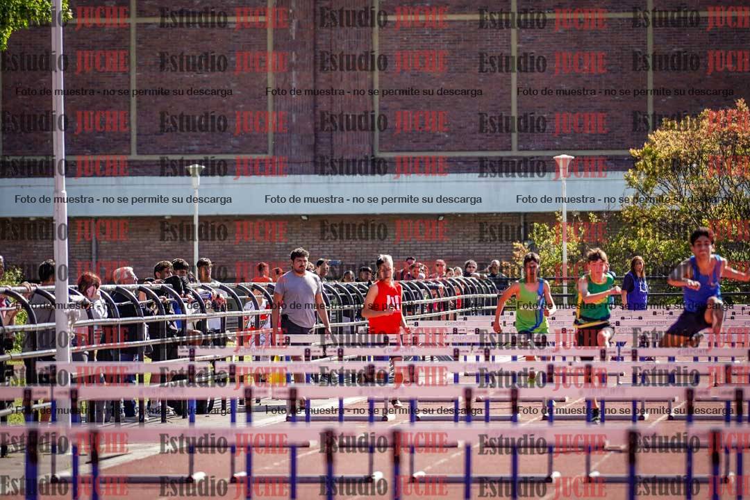 Fotos de los 110 m con vallas de varones