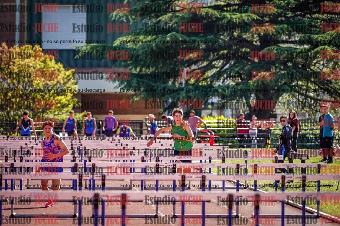 Fotos de los 110 m con vallas de varones