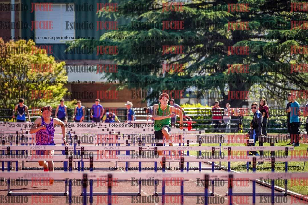 Fotos de los 110 m con vallas de varones