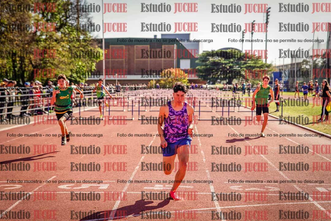 Fotos de los 110 m con vallas de varones