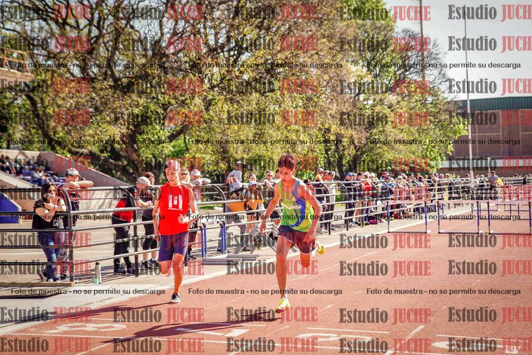 Fotos de los 110 m con vallas de varones