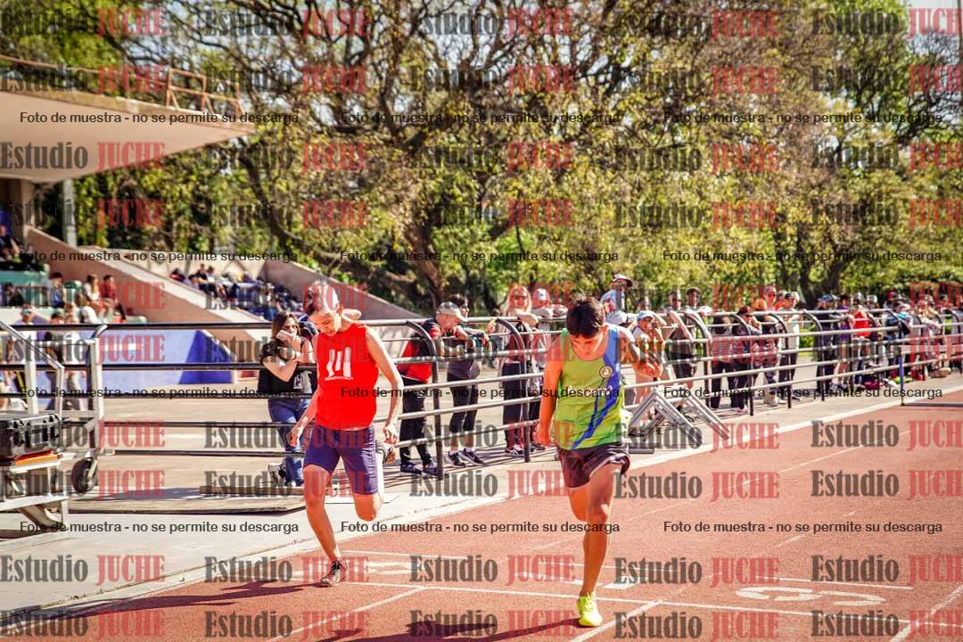 Fotos de los 110 m con vallas de varones