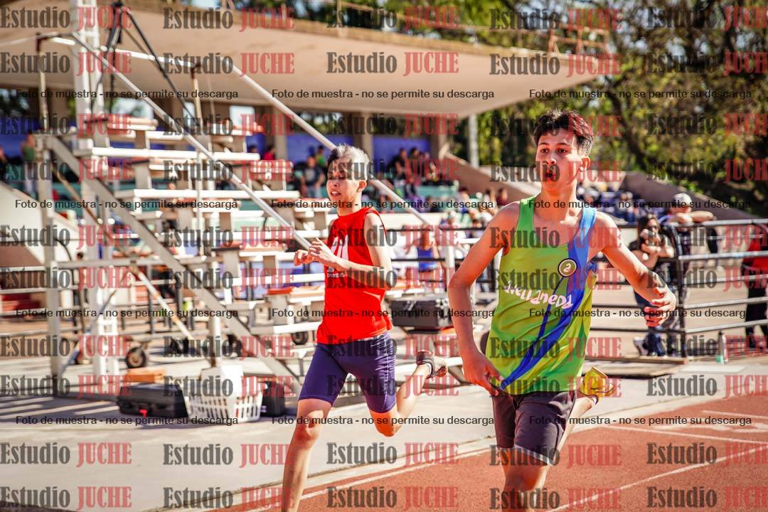 Fotos de los 110 m con vallas de varones