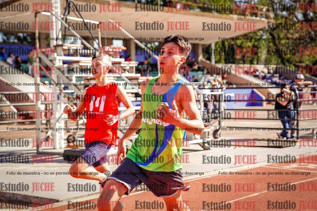 Fotos de los 110 m con vallas de varones