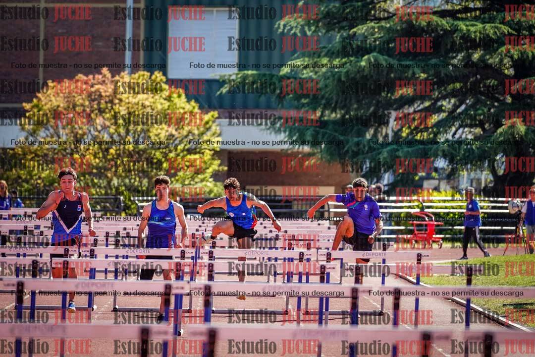 Fotos de los 110 m con vallas de varones