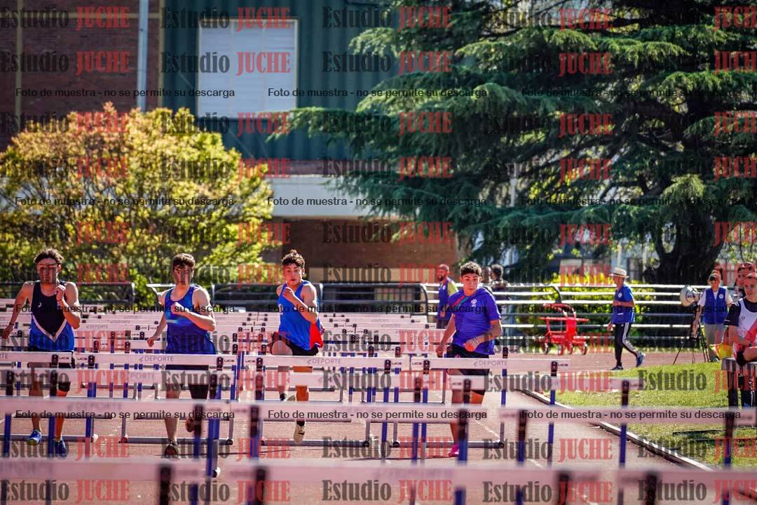 Fotos de los 110 m con vallas de varones