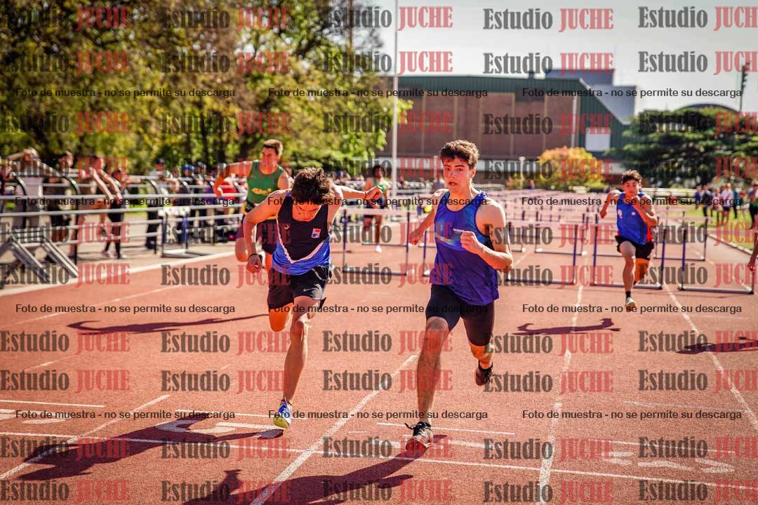 Fotos de los 110 m con vallas de varones