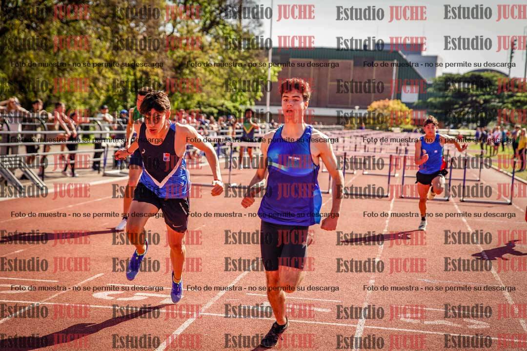 Fotos de los 110 m con vallas de varones
