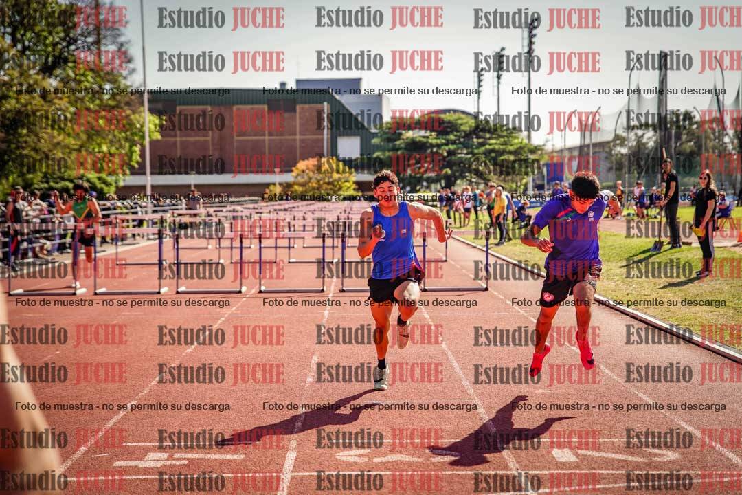 Fotos de los 110 m con vallas de varones