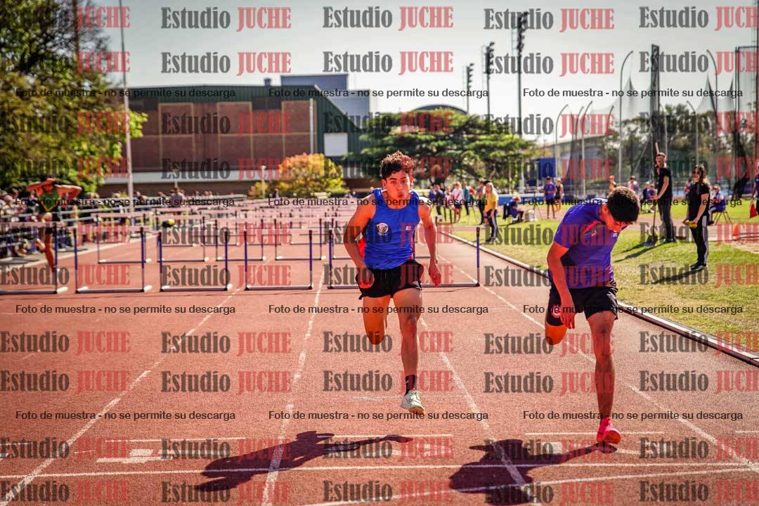 Fotos de los 110 m con vallas de varones