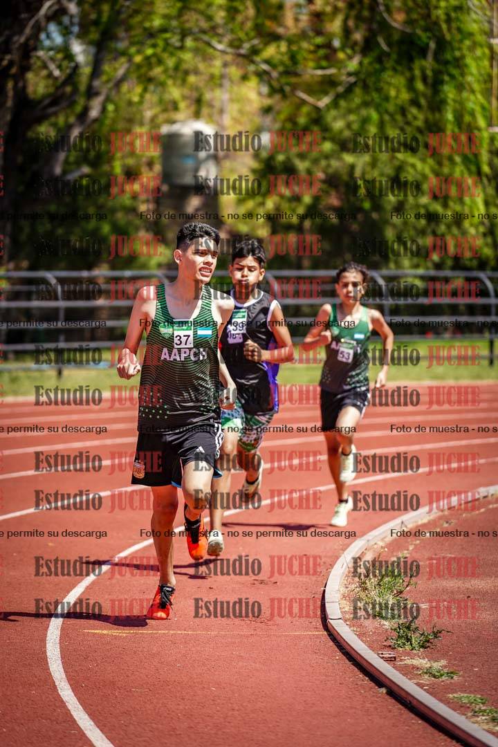 Fotos de los 600 m llanos de varones