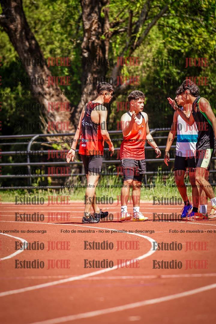 Fotos de los 80 m llanos de varones