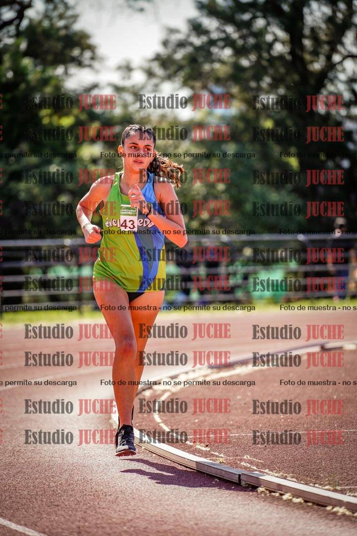 Fotos de los 1500 m llanos de mujeres