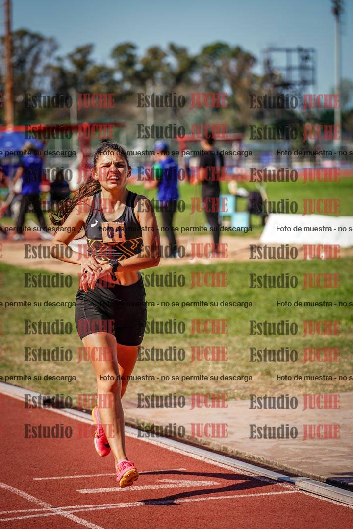 Fotos de los 1500 m llanos de mujeres