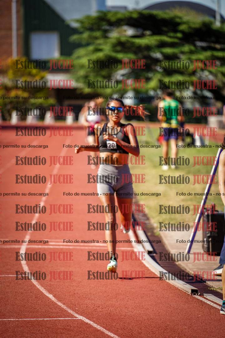 Fotos de los 1500 m llanos de mujeres