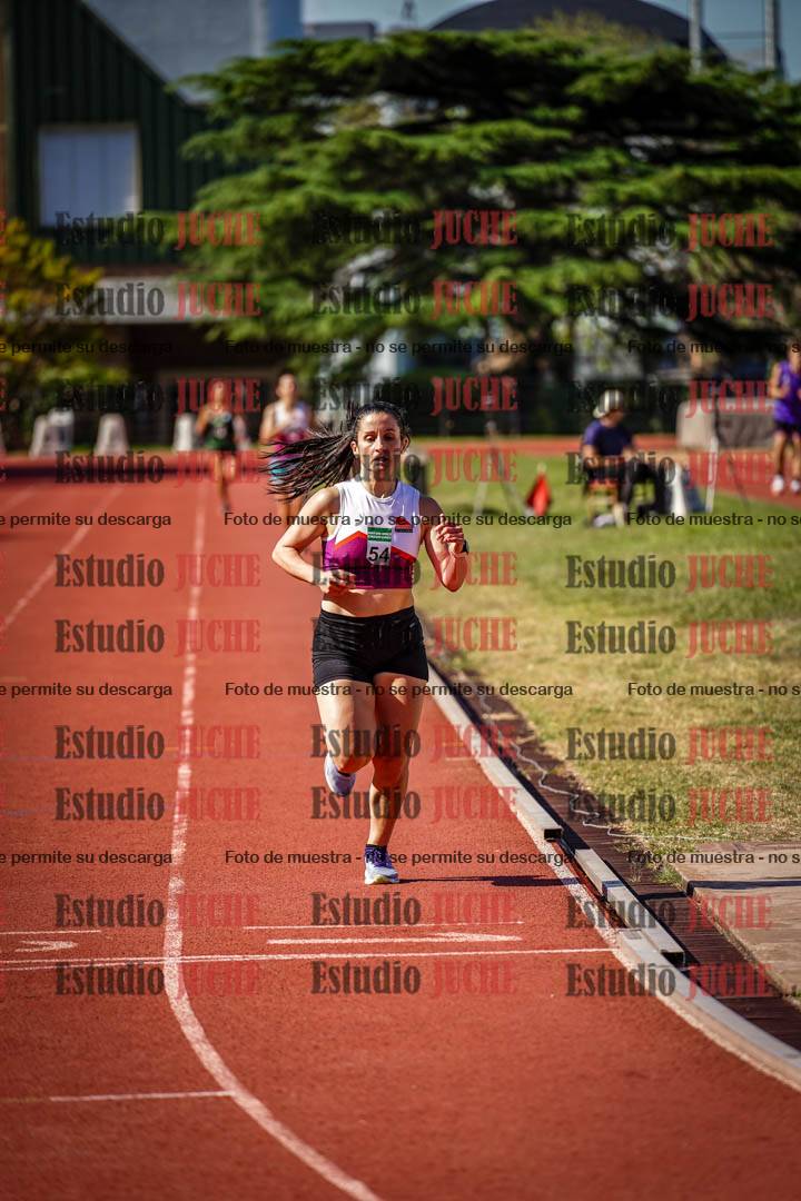Fotos de los 1500 m llanos de mujeres
