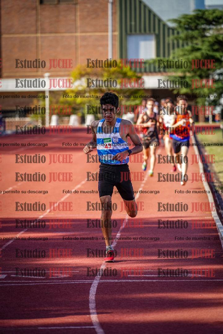 Fotos de los 1500 m llanos de varones