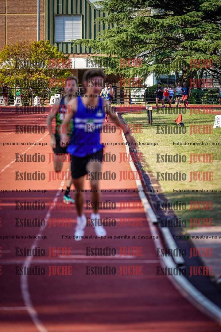 Fotos de los 1500 m llanos de varones