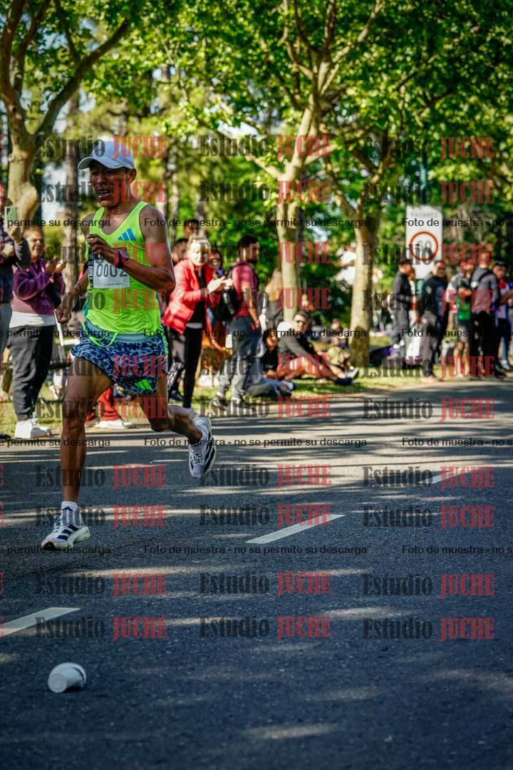 Fotos de las llegadas