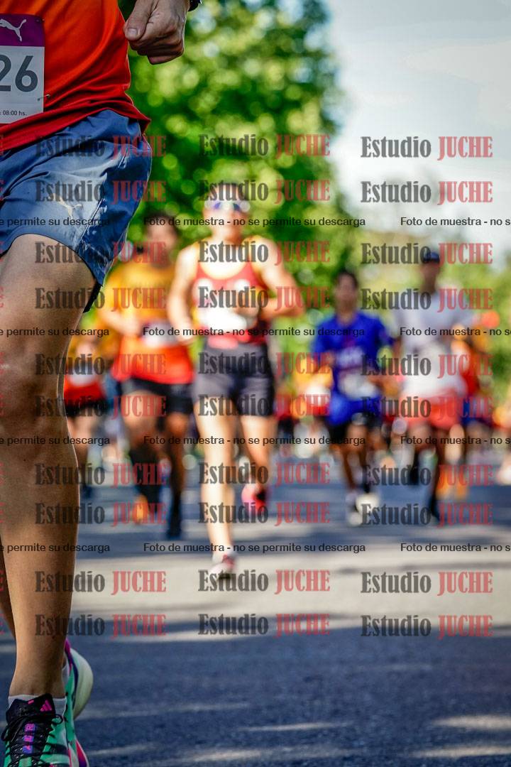 Fotos de las llegadas