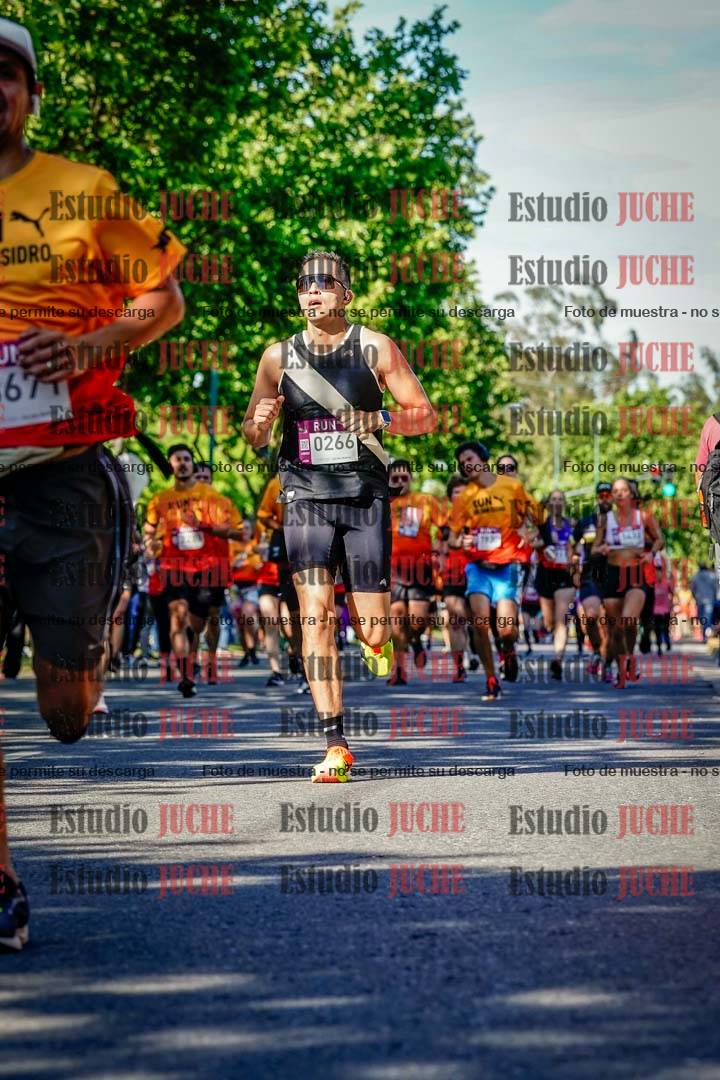 Fotos de las llegadas