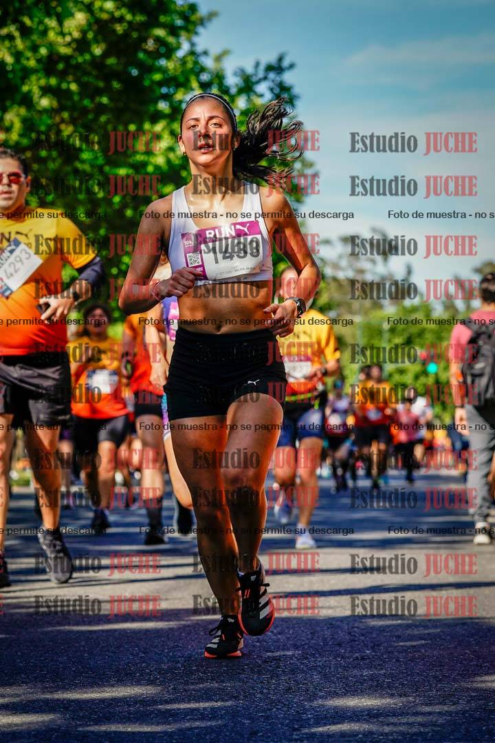 Fotos de las llegadas